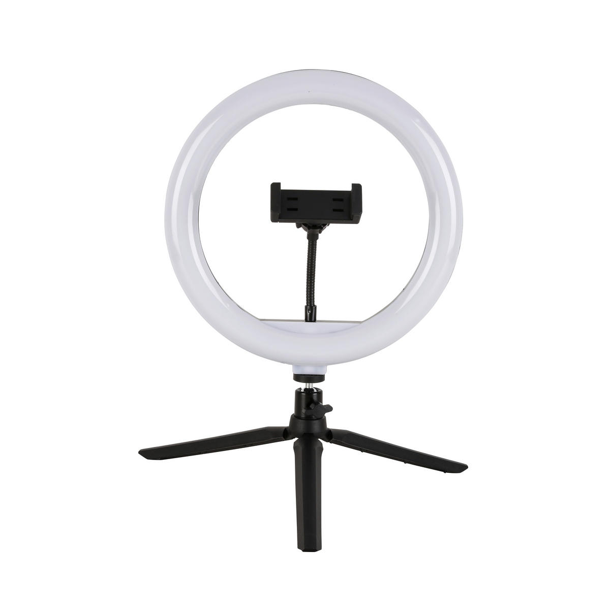 LED-RINGLAMPA 24,5/38 cm   - vit/svart, Trend, metall/plast (24,5/38cm) - Novel