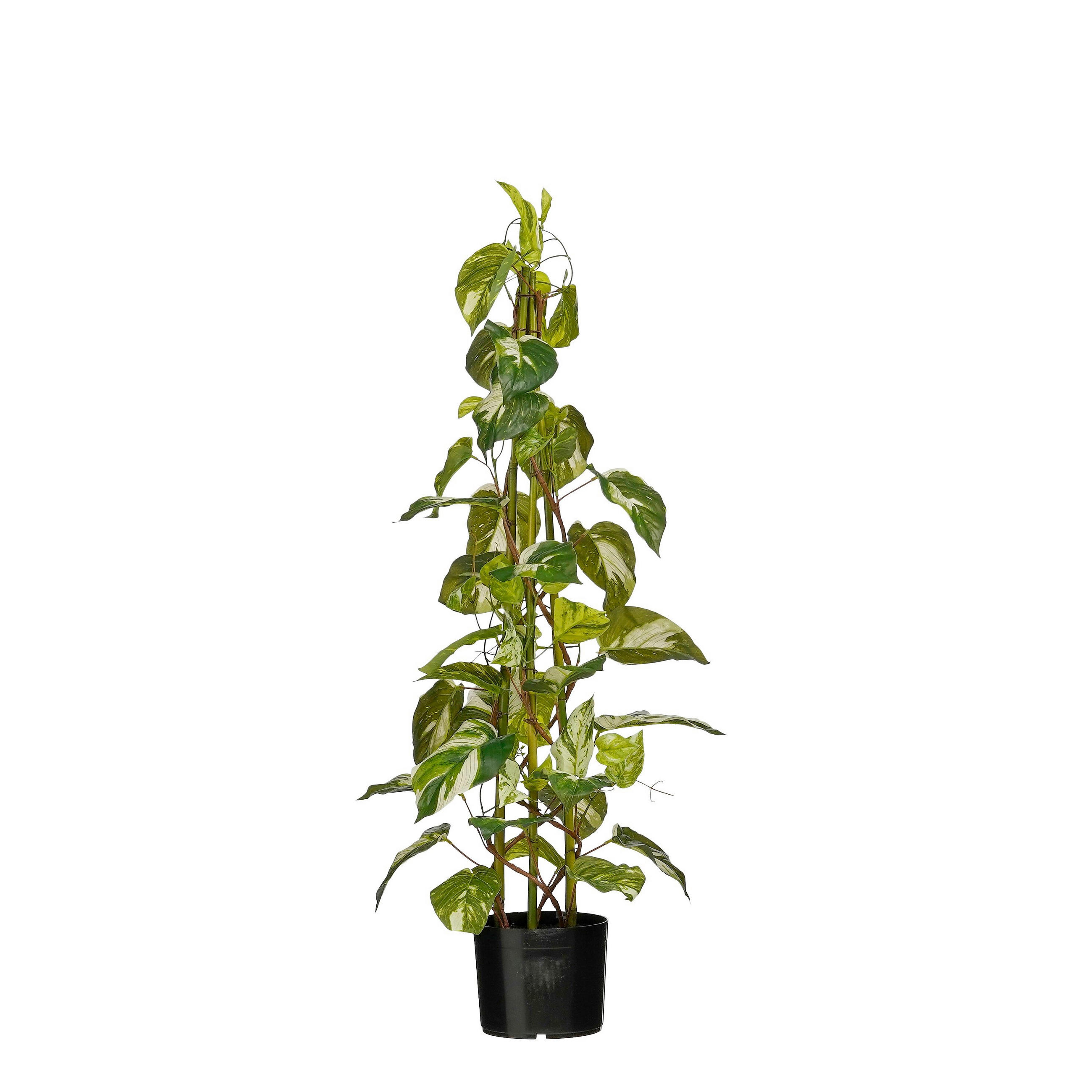 UMĚLÁ ROSTLINA  - zelená, Basics, plast (30/30/90cm)