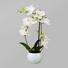 KUNSTBLUME Orchidee - Dunkelgrün/Weiß, Kunststoff (42cm) KUNSTBLUME Orchidee - Dunkelgrün/Weiß, Kunststoff (42cm)