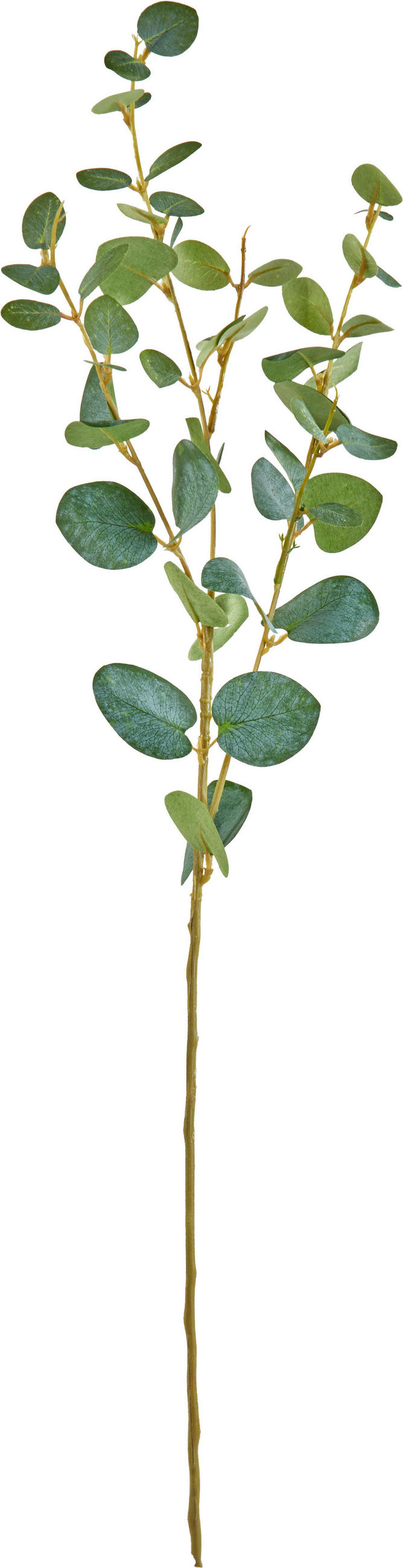 DEKORATIONSKVIST - grön/brun, Basics, plast (76cm)