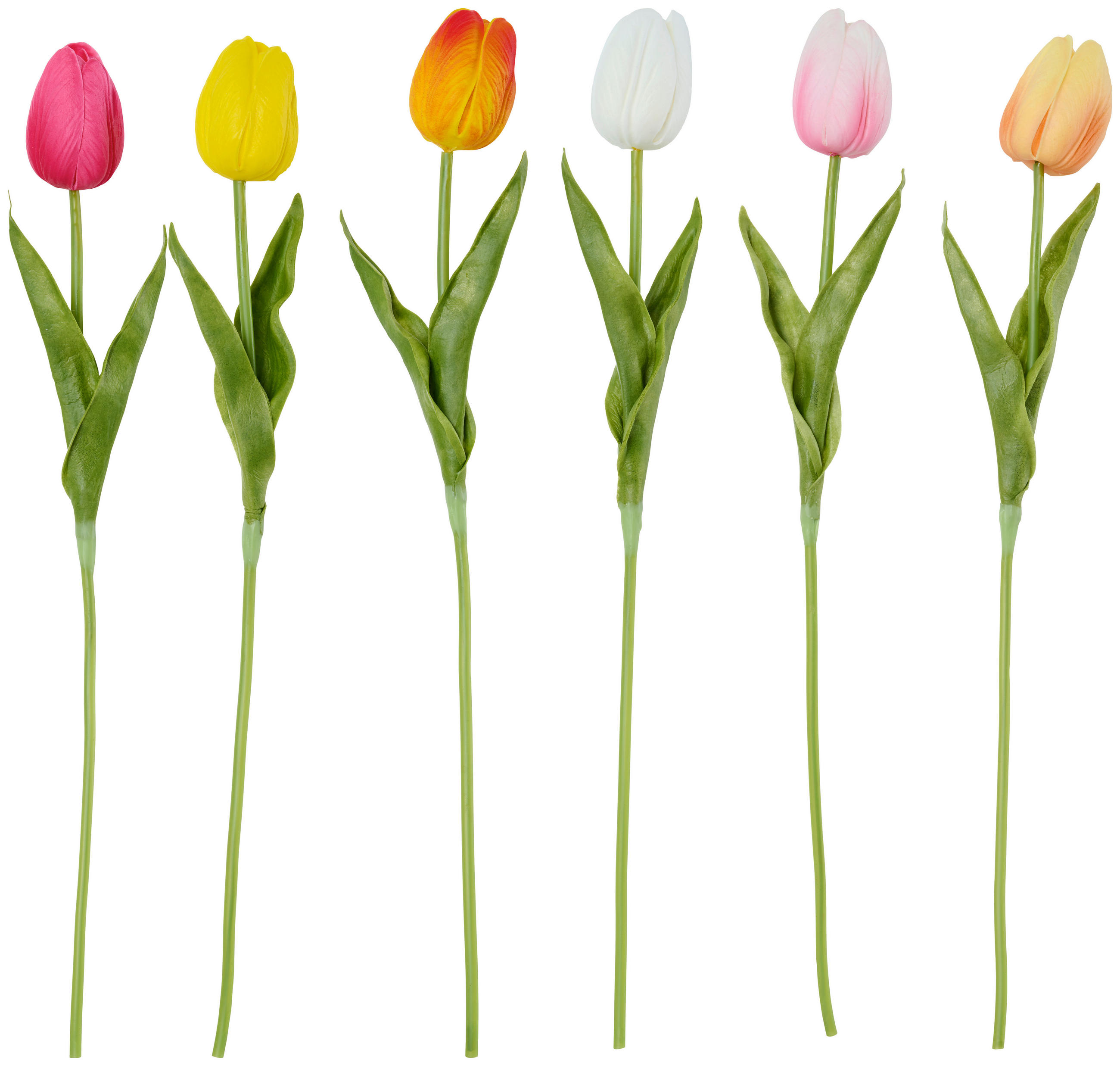 TULIPÁN - krémszínű/sárga, Lifestyle, műanyag (36cm)