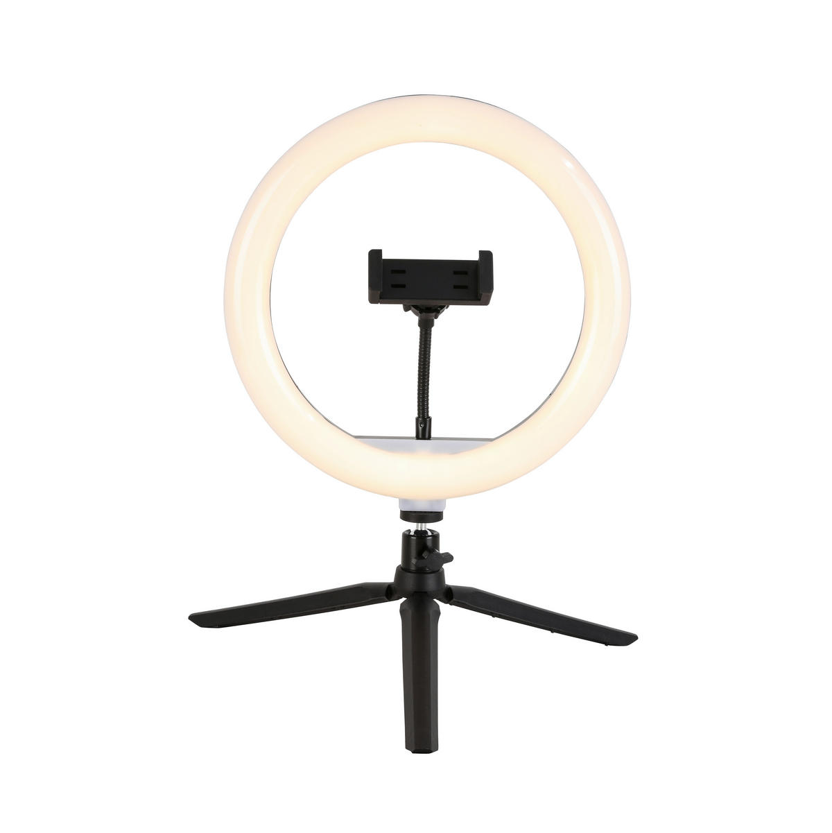 LED-RINGLAMPA 24,5/38 cm   - vit/svart, Trend, metall/plast (24,5/38cm) - Novel