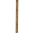 GARDEROBENPANEEL 16/180/2 cm - Eichefarben, Design, Holzwerkstoff (16/180/2cm) - Cassando GARDEROBENPANEEL 16/180/2 cm - Eichefarben, Design, Holzwerkstoff (16/180/2cm) - Cassando