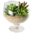 DEKOSCHALE - Basics, Glas (15/14cm) - Ambia Home