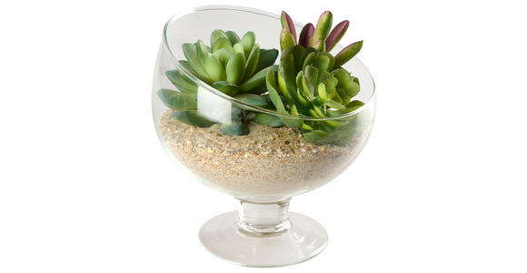 DEKOSCHALE - Basics, Glas (15/14cm) - Ambia Home