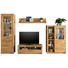 WOHNWAND Wildeiche furniert, massiv Eichefarben - Eichefarben/Alufarben, Design, Glas/Holz (309/203/46cm) - Landscape WOHNWAND Wildeiche furniert, massiv Eichefarben - Eichefarben/Alufarben, Design, Glas/Holz (309/203/46cm) - Landscape