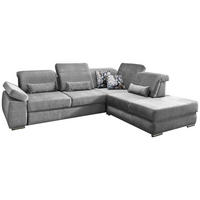 Ecksofa mit Schlaffunktion Silberfarben Velours  - Chromfarben/Silberfarben, MODERN, Holz/Textil (297/250cm) - Livetastic