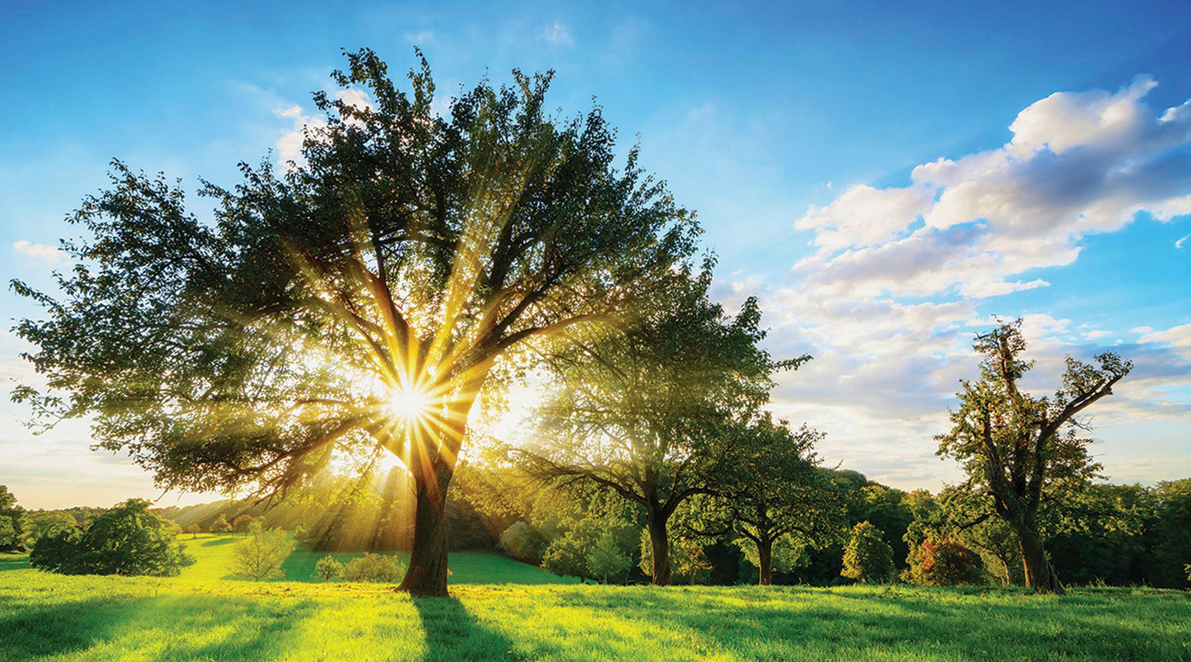 MALBA NA PLÁTNĚ, krajina a příroda, 180/100 cm  - vícebarevná, Basics, dřevo/papír (180/100cm) - Euroart