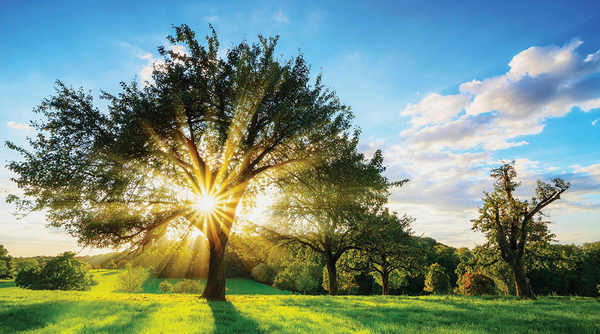 MALBA NA PLÁTNĚ, krajina a příroda, 180/100 cm  - vícebarevná, Basics, dřevo/papír (180/100cm) - Euroart