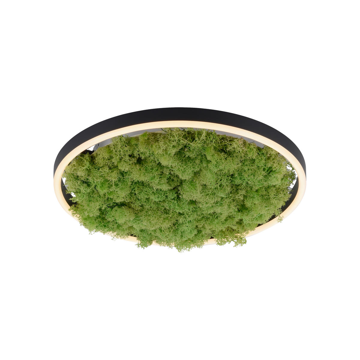 LED-DECKENLEUCHTE Ritus 39,3/39,3/5,3 cm   - Naturfarben, Natur, Naturmaterialien/Kunststoff (39,3/39,3/5,3cm)