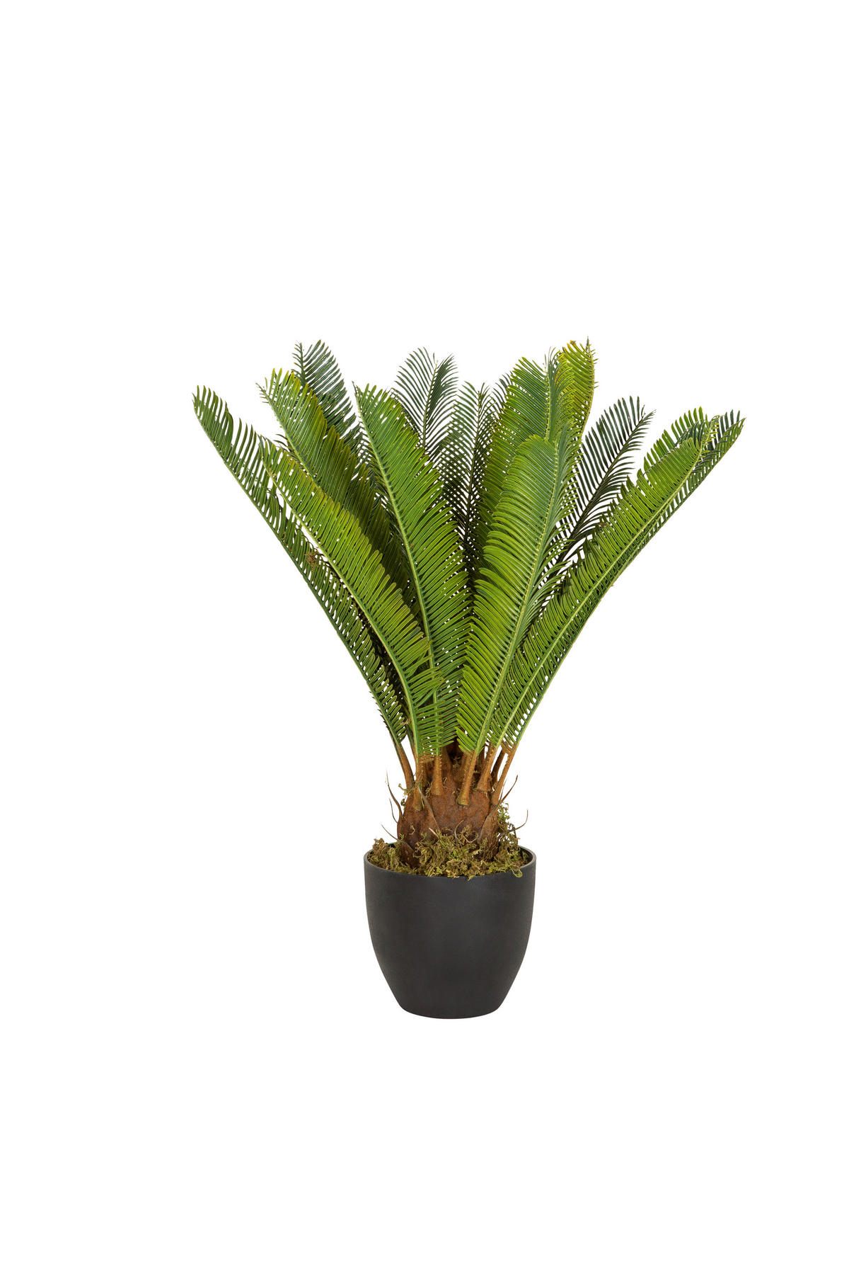KONSTVÄXT palmträd  - grön/svart, Basics, textil/plast (70/70/70cm) - MID.YOU