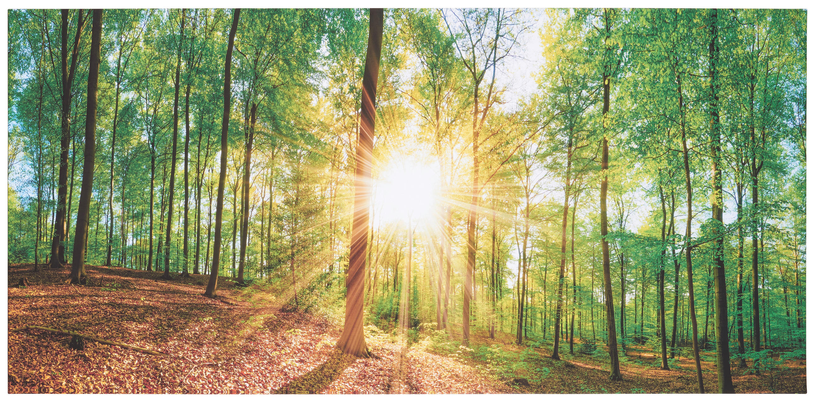 Keilrahmenbild 115/55/3 cm