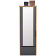 GARDEROBENSCHRANK  in 64/187/31 cm  - Eiche Bianco/Anthrazit, Design, Glas/Holzwerkstoff (64/187/31cm) - Dieter Knoll