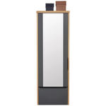 GARDEROBENSCHRANK  in 64/187/31 cm  - Eiche Bianco/Anthrazit, Design, Glas/Holzwerkstoff (64/187/31cm) - Dieter Knoll