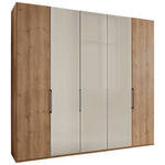 FALTTÜRENSCHRANK 250/216/58 cm 5-türig  - Schieferfarben/Eiche Bianco, KONVENTIONELL, Glas/Holzwerkstoff (250/216/58cm) - Dieter Knoll