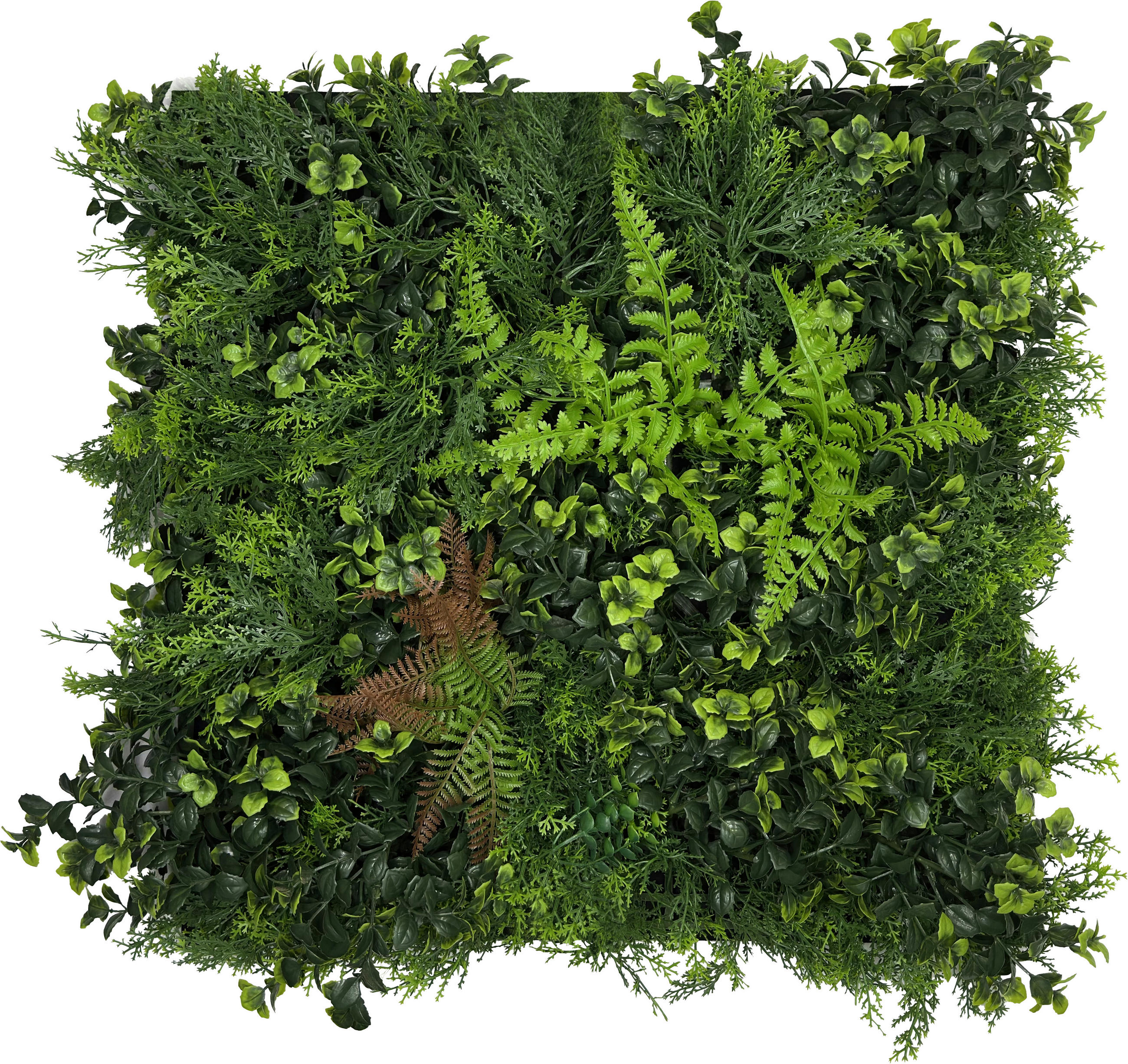AKUSTIKPANEEL Modular Wall System Nature Design Flora 52/52/4 cm  - Grün, KONVENTIONELL, Kunststoff (52/52/4cm) - Jangal