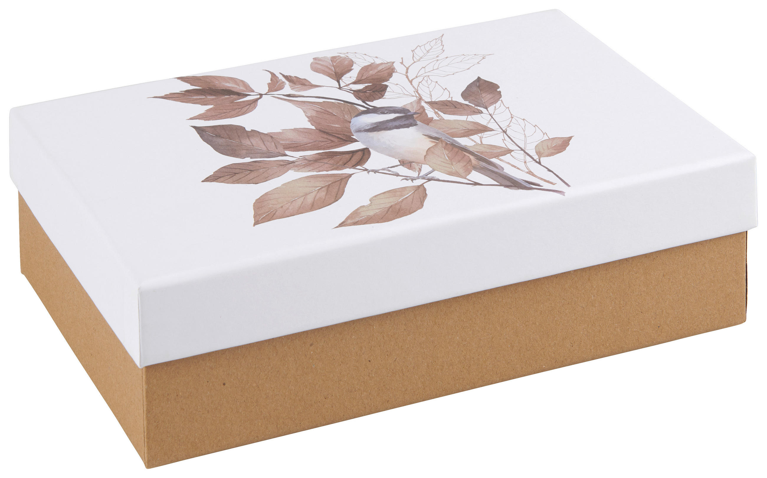 GESCHENKBOX  - Multicolor, Basics, Papier (22/6/14cm)