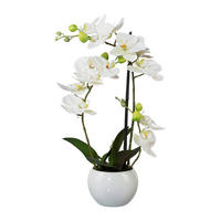 KUNSTBLUME Orchidee  - Weiß/Grün, Basics, Keramik/Kunststoff (42cm)