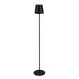 AKKU-STEHLEUCHTE 22/130 cm    - Schwarz, KONVENTIONELL, Kunststoff/Metall (22/130cm) - Novel