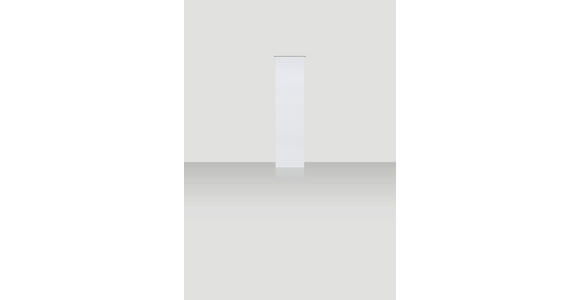 FLÄCHENVORHANG in Weiß halbtransparent  - Weiß, Design, Textil (60/255cm) - Novel