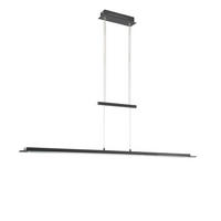 LED-HÄNGLAMPA Bill 145/16/100-150 cm  - svart, Basics, metall/glas (145/16/100-150cm) - Fischer & Honsel