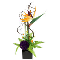 STRELITZIE  - Orange, Basics, Kunststoff (22/45/18cm)