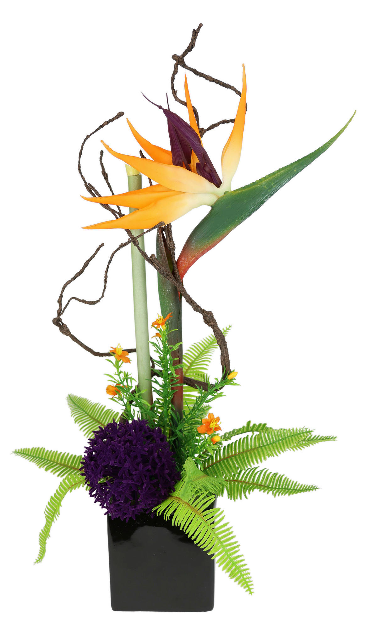 STRELITZIE  - Orange, Basics, Kunststoff (22/45/18cm)