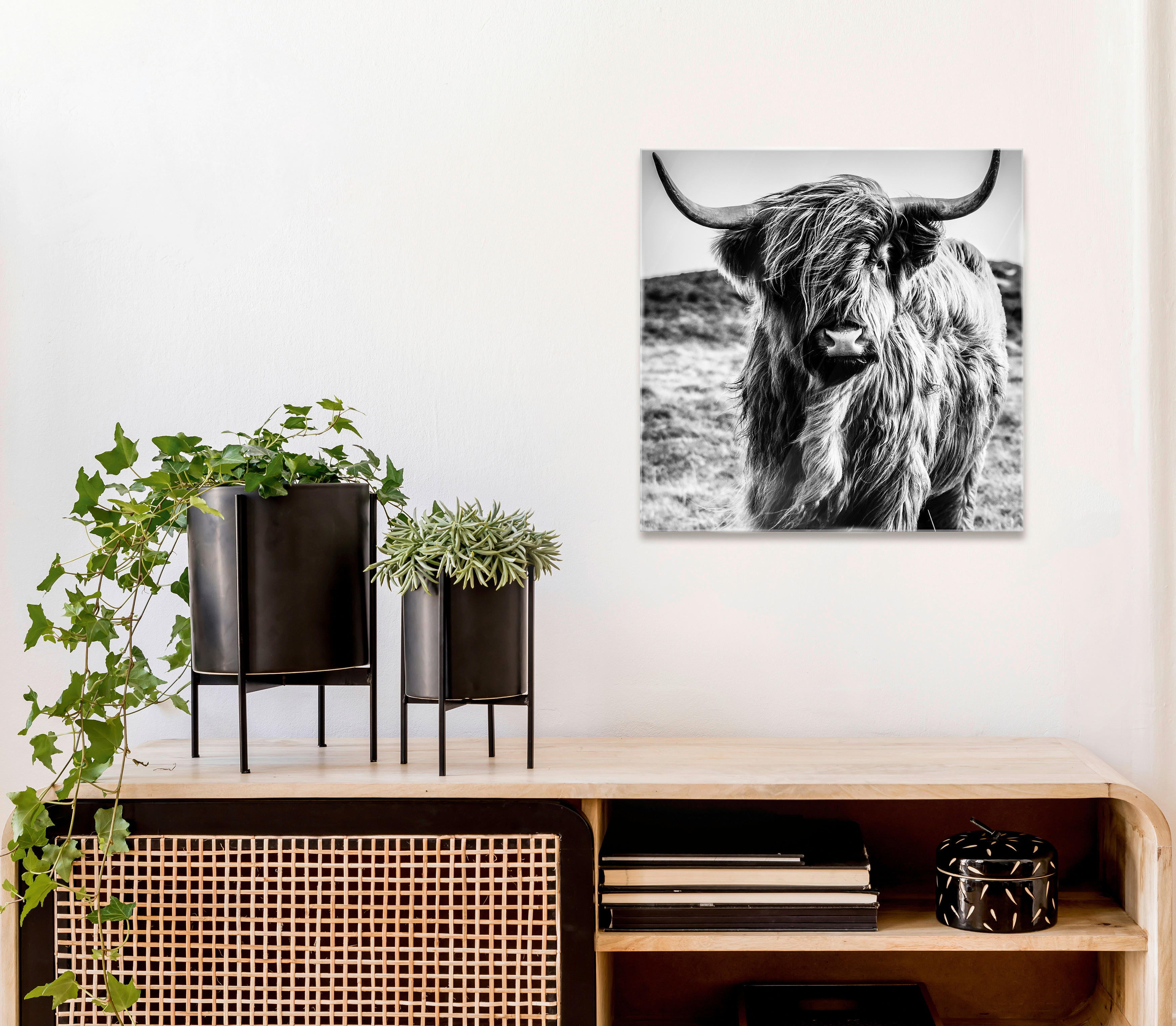 GLASBILD Tiere  - Schwarz/Weiß, Natur, Glas (50/50/1,40cm) - Euroart