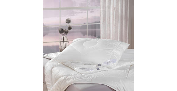 POLSTER 70/90 cm - Weiß, Basics, Textil (70/90cm) - Sleeptex