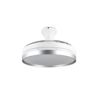 Deckenleuchte mit Ventilator 48/31,0 cm   - Transparent/Titanfarben, KONVENTIONELL, Kunststoff (48/31,0cm)