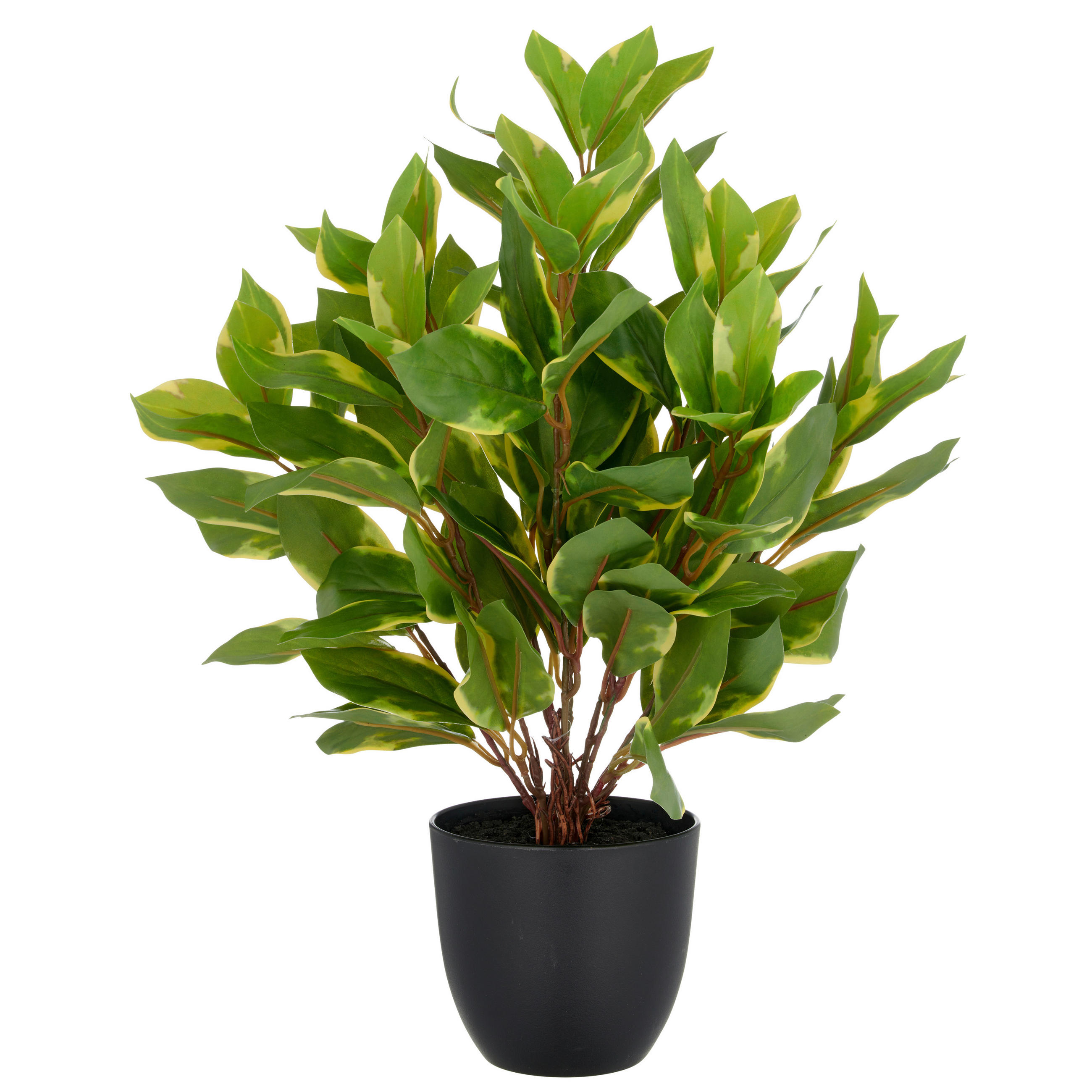 KUNSTPFLANZE Efeutute 40 cm  - Schwarz/Braun, Basics, Kunststoff (40cm) - P & B