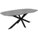 ESSTISCH oval Grau, Schwarz  - Schwarz/Grau, Design, Holzwerkstoff/Metall (180/100/76cm) - Carryhome
