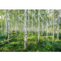 FOTOTAPETE - Multicolor, Basics (368/254cm) - Komar