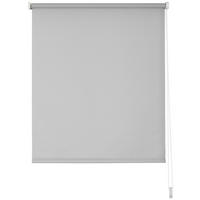 ROLLO  blickdicht     - Grau, Basics, Textil (140/150/4cm) - Homeware