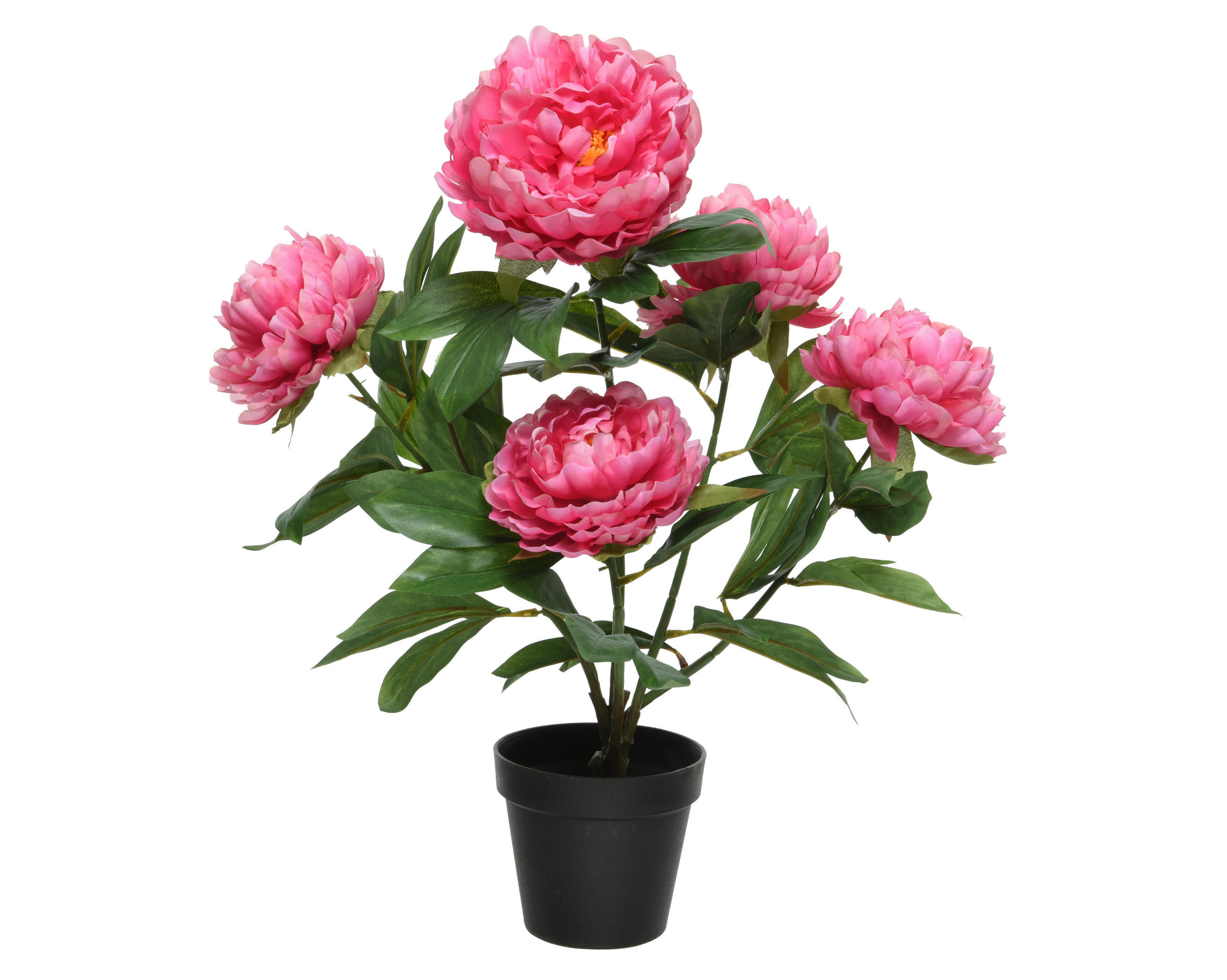 PLANTĂ ARTIFICIALĂ - verde/roz, Basics, plastic (57/26,70/12,70cm)