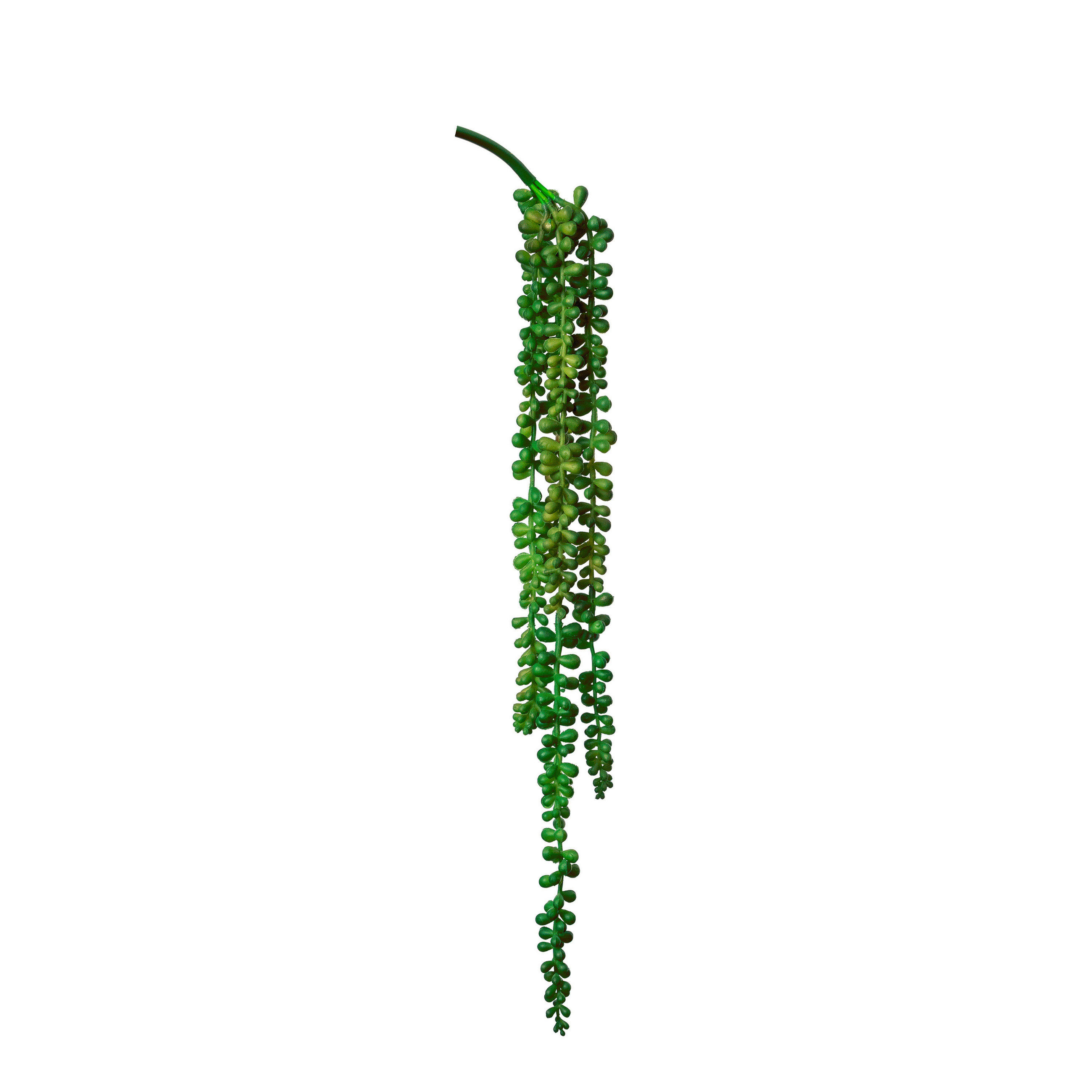 PLANTĂ SUCULENTĂ - verde, Basics, plastic (40cm)