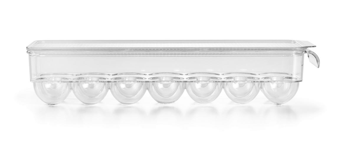 CUTIE PENTRU FRIGIDER  - străveziu, Basics, plastic - Homeware Profession.
