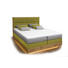 BOXSPRINGBETT 160/200/ cm in Grün, Eichefarben, Hellgrau - Eichefarben/Hellgrau, Design, Holz/Textil (160/200/cm) - Linea Natura BOXSPRINGBETT 160/200/ cm in Grün, Eichefarben, Hellgrau - Eichefarben/Hellgrau, Design, Holz/Textil (160/200/cm) - Linea Natura