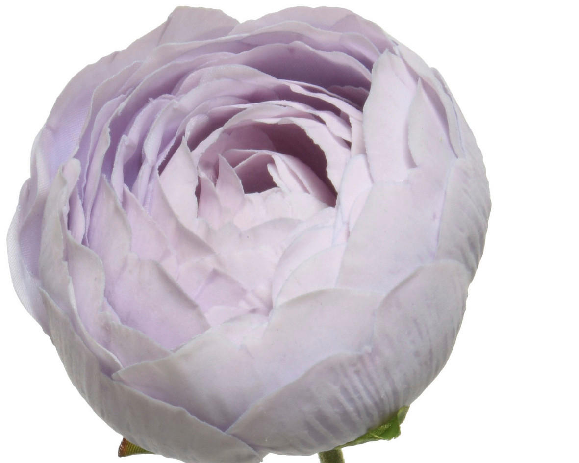RANUNCULUS - Basics (10,00/5,00/51,00cm)