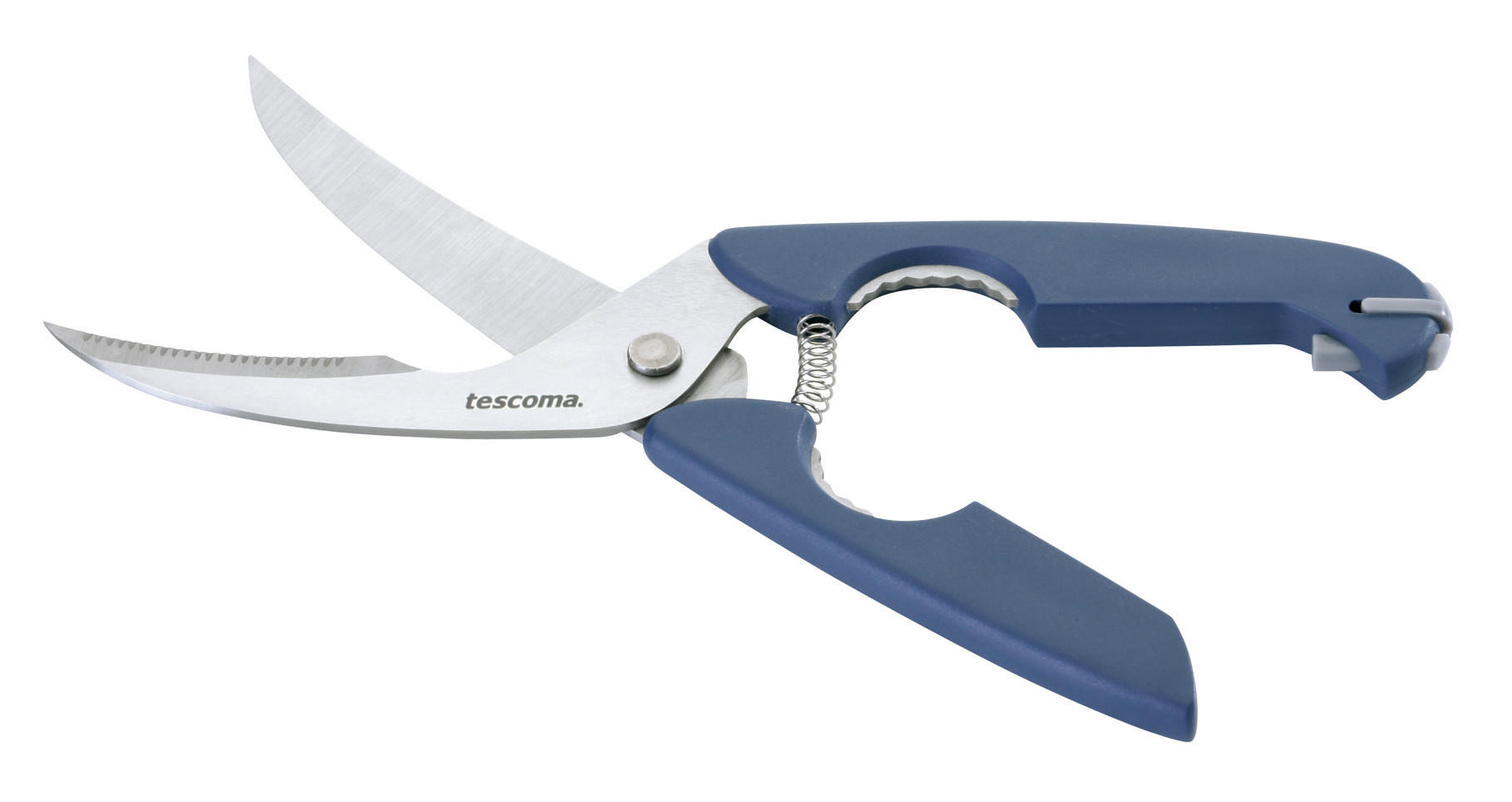 NOŽNICE NA HYDINU - modrá/strieborná, Basics, kov/plast (25cm) - Tescoma