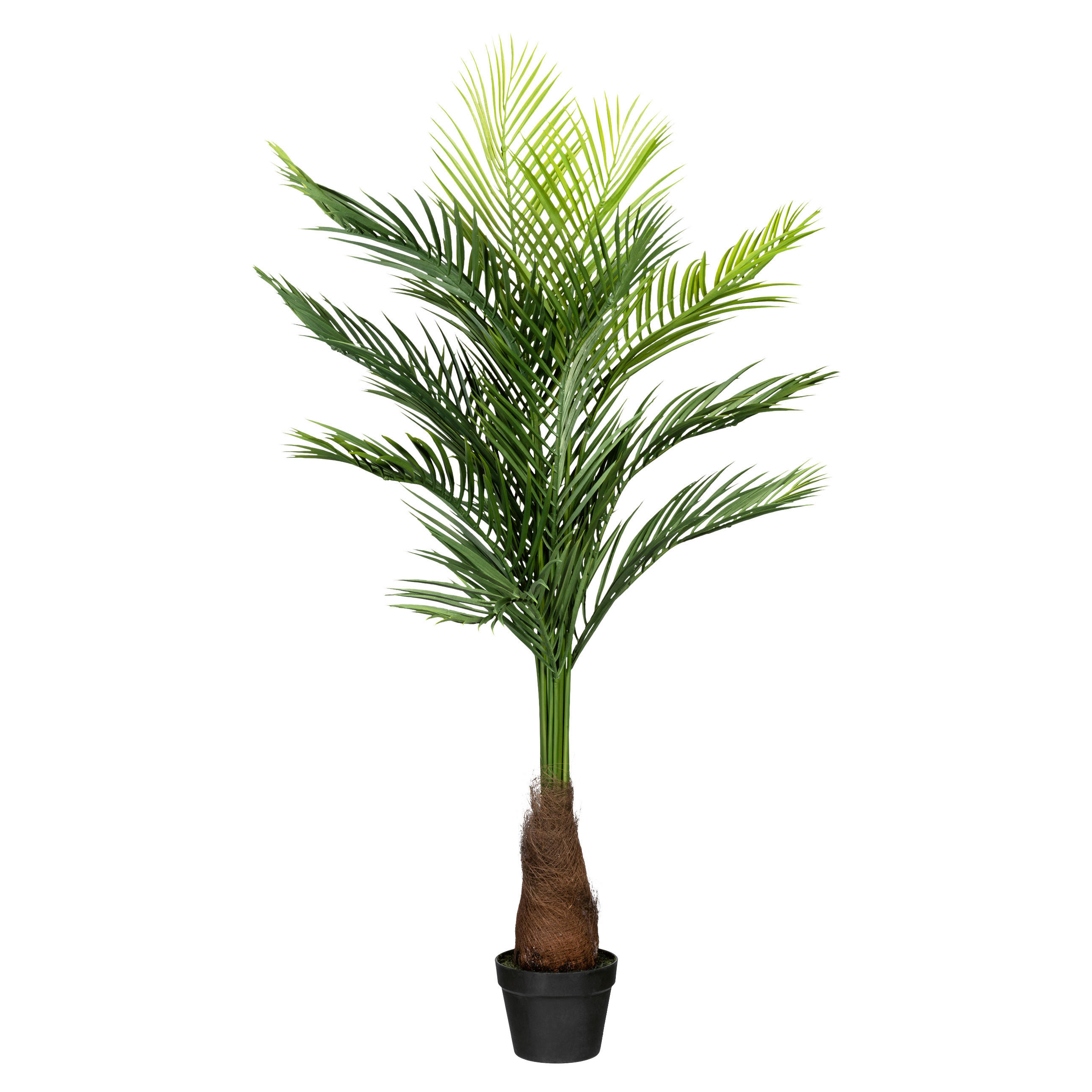 KUNSTPFLANZE Palme 140 cm  - Schwarz/Braun, Design, Kunststoff (140cm) - P & B