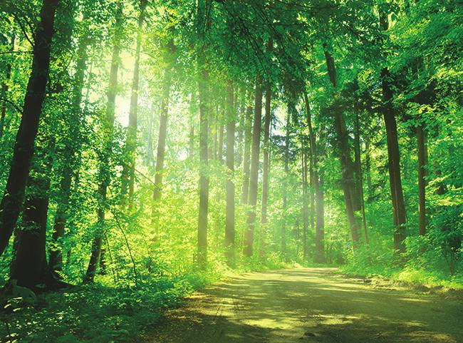 Keilrahmenbild 135/100 cm