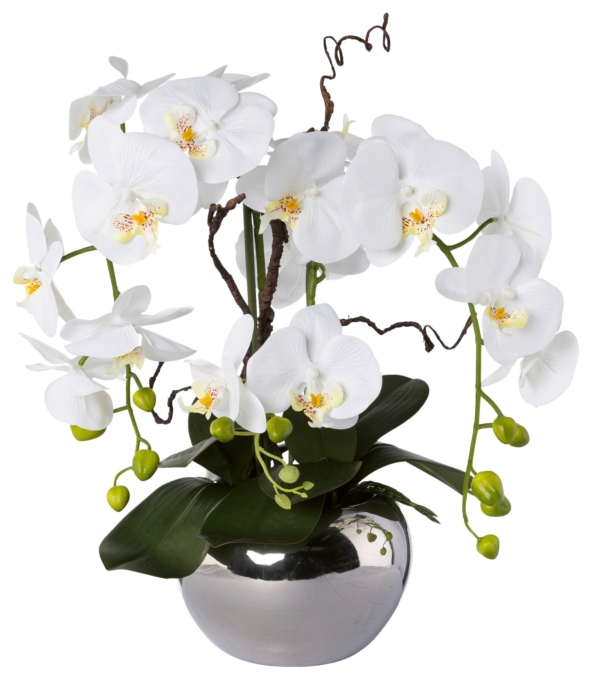 KUNSTPFLANZE Orchidee 55 cm  - Silberfarben/Weiß, Design, Keramik/Kunststoff (55cm) - P & B