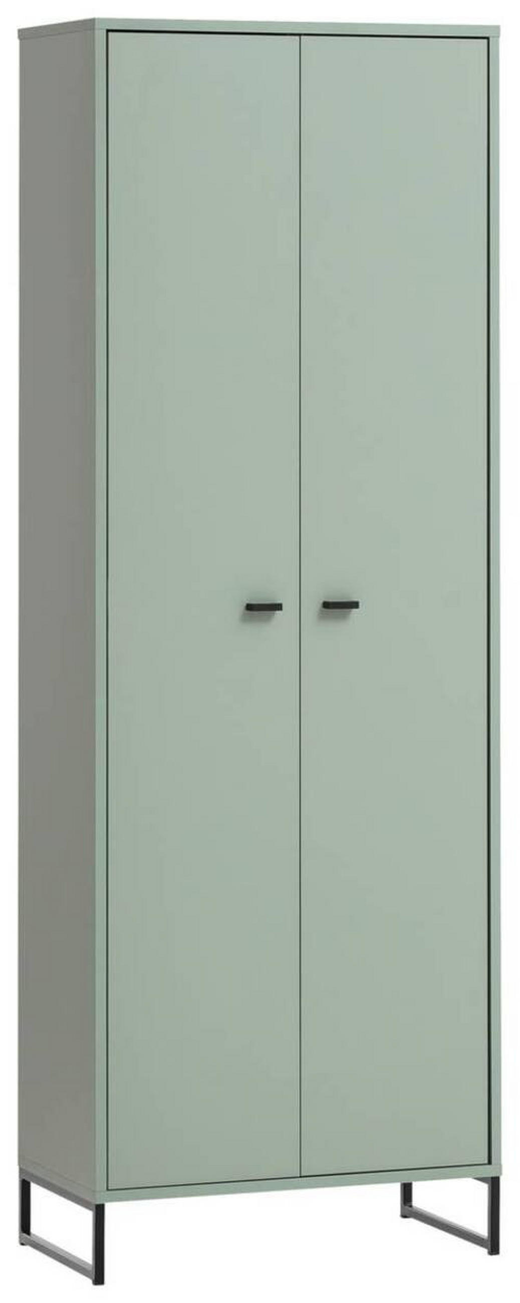 SCHUHSCHRANK Grün  - Schwarz/Grün, LIFESTYLE, Holzwerkstoff/Metall (60,2/169,7/33,5cm) - MID.YOU