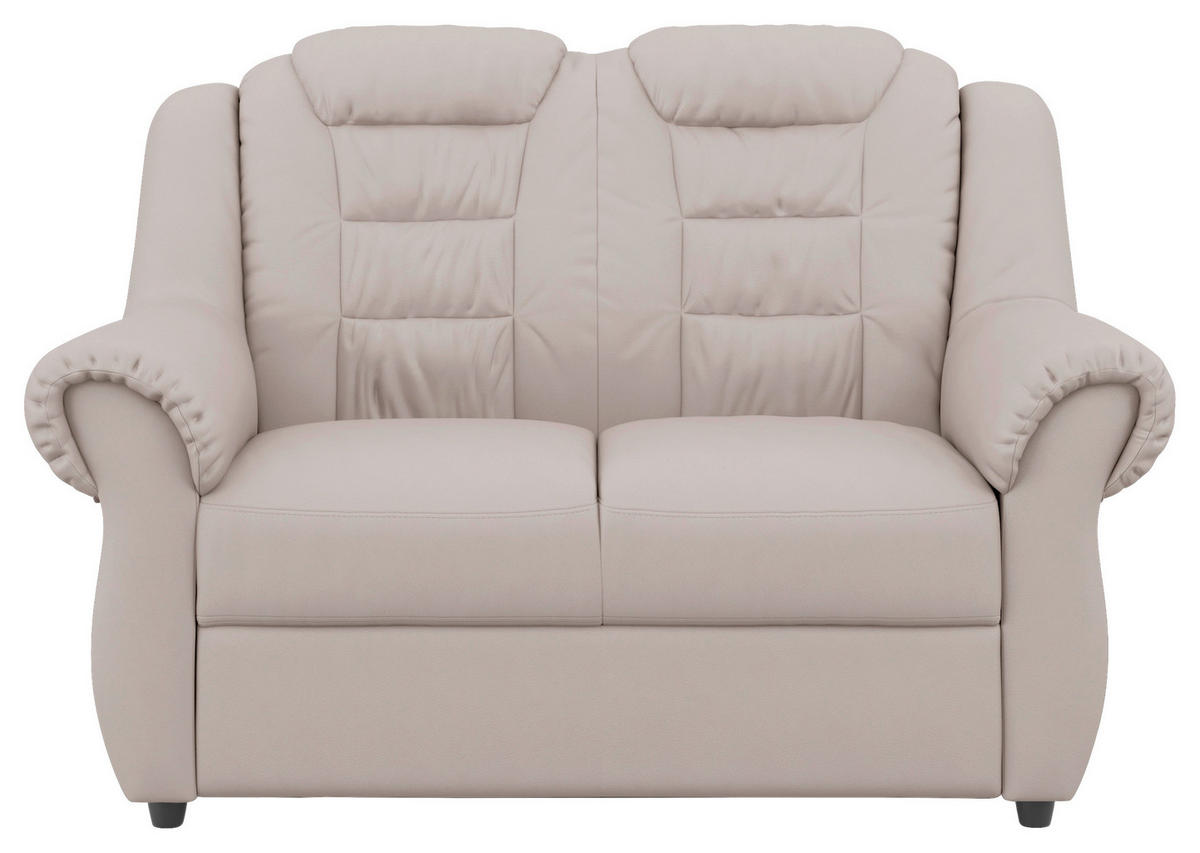 2-SITZER-SOFA Lederlook Hellgrau  - Hellgrau/Schwarz, KONVENTIONELL, Kunststoff/Textil (145/102/101cm) - Livetastic