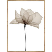 UMELECKÁ TLAČ, kvety, 51,2/71,2 cm  - viacfarebná/farba duba, Basics, kompozitné drevo (51,2/71,2cm) - Monee