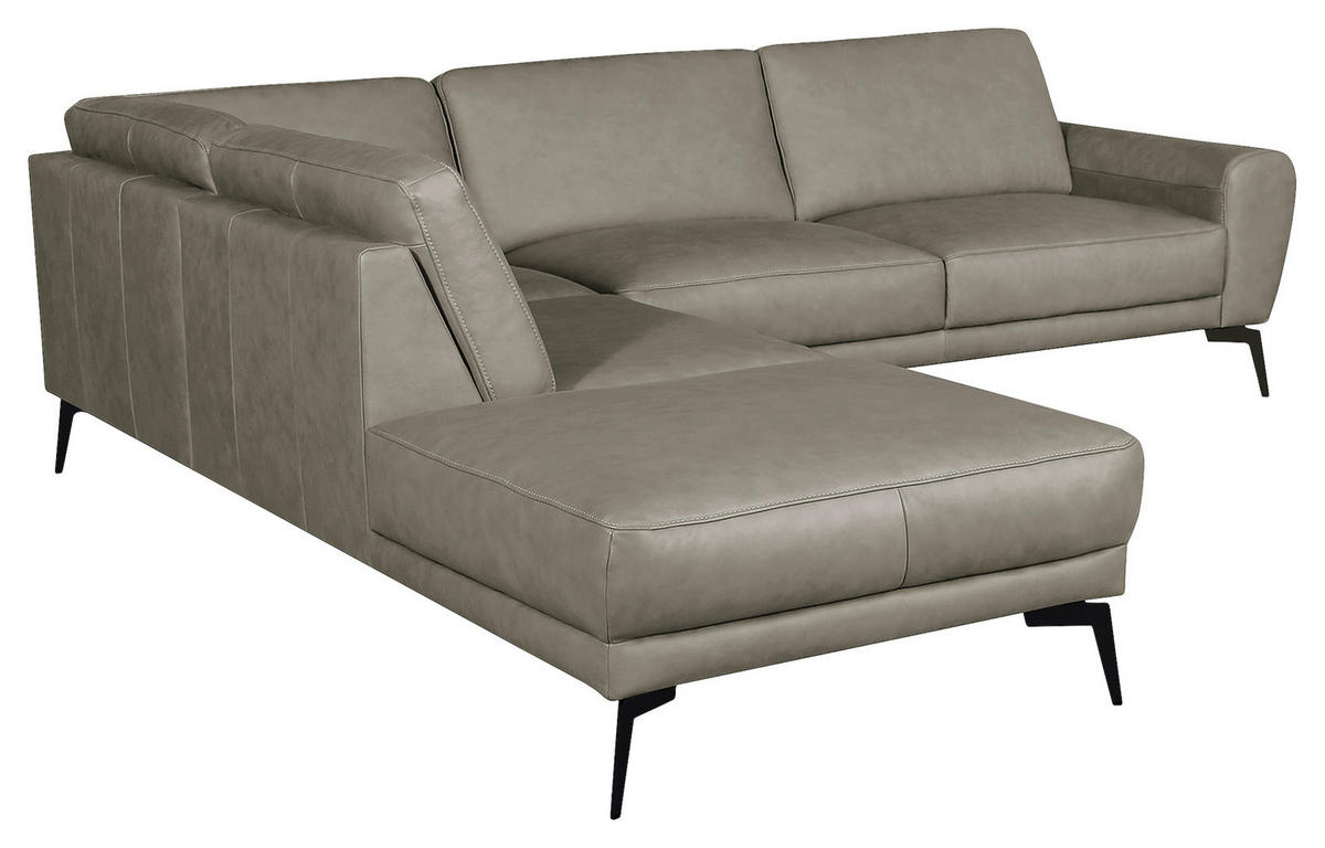 ECKSOFA in Echtleder Grau  - Schwarz/Grau, Design, Leder/Metall (250/273cm) - Livetastic