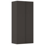 DREHTÜRENSCHRANK 101/223/61 cm,  in Graphitfarben, 2-türig  - Graphitfarben, Basics, Holzwerkstoff/Metall (101/223/61cm) - Novel