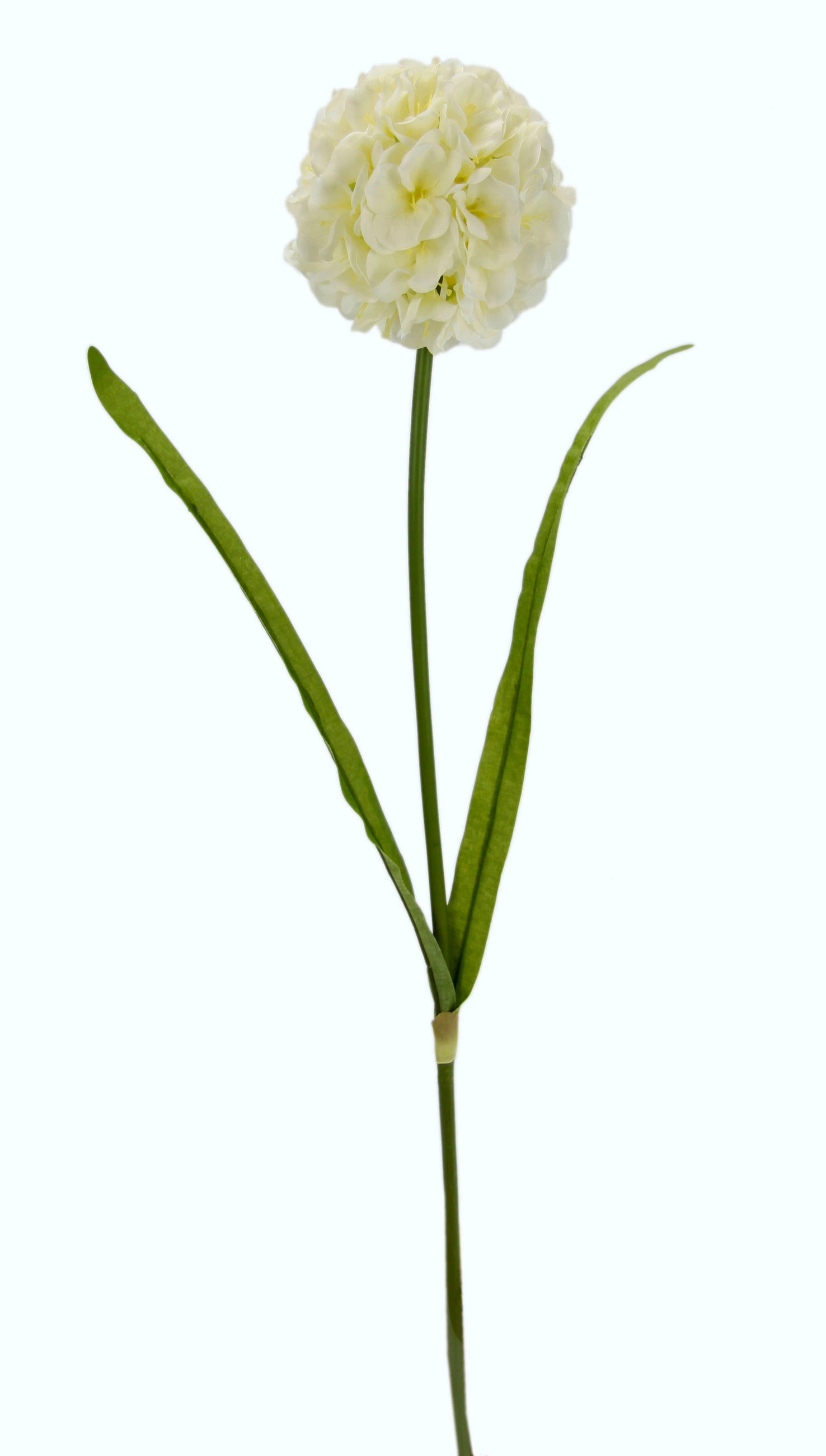 ALLIUM  - Weiß/Grün, Basics, Kunststoff/Textil (11/67cm)
