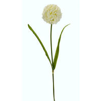 ALLIUM  - Weiß/Grün, Basics, Kunststoff/Textil (11/67cm)